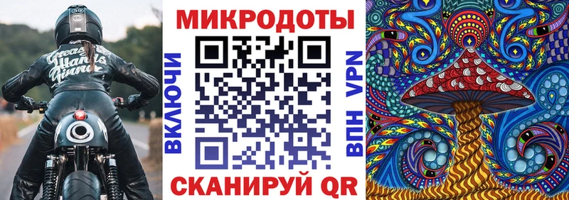 где можно купить   блэк спрут вход  Галлюциногенные грибы Cubensis  Олёкминск 